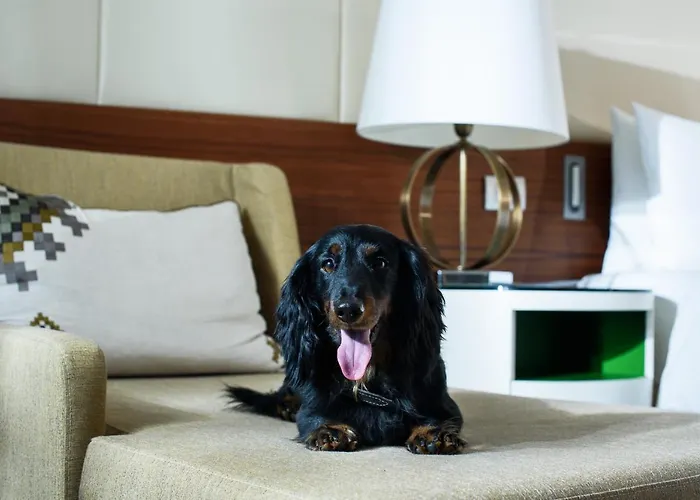 Отель Renaissance Минск